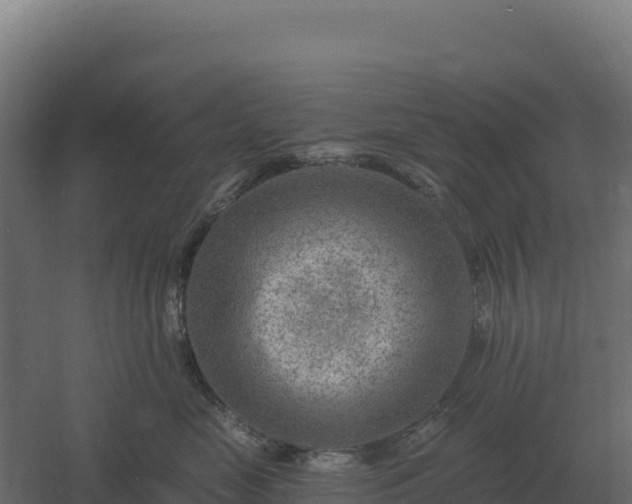 X0000061150669200511241832