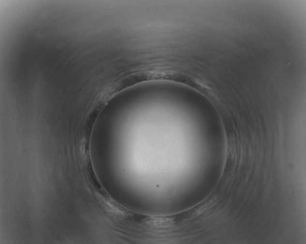 X0000061150670200511241832