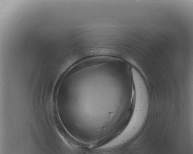 X0000061150674200511241832