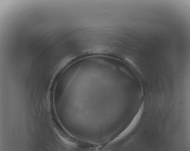 X0000061150678200511241831