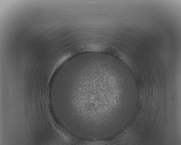 X0000061150679200511241831