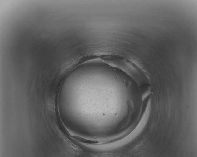 X0000061150681200511241831