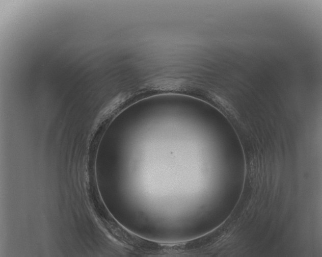 X0000061150682200511241831