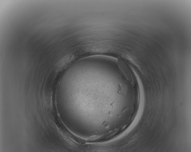 X0000061150685200511241831