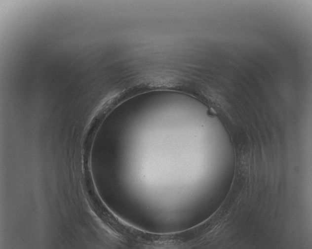 X0000061150686200511241831