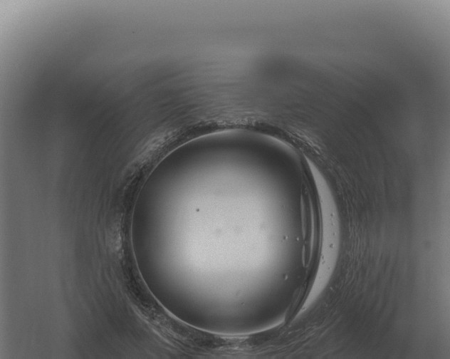 X0000061150687200511241831