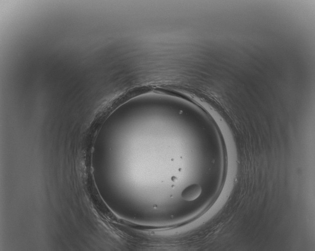 X0000061150688200511241831