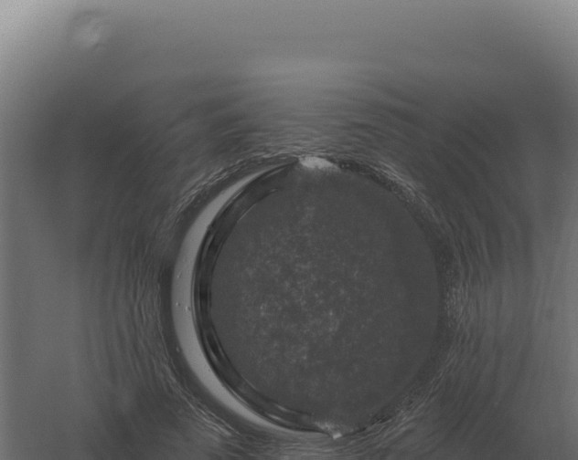 X0000061150689200511241831