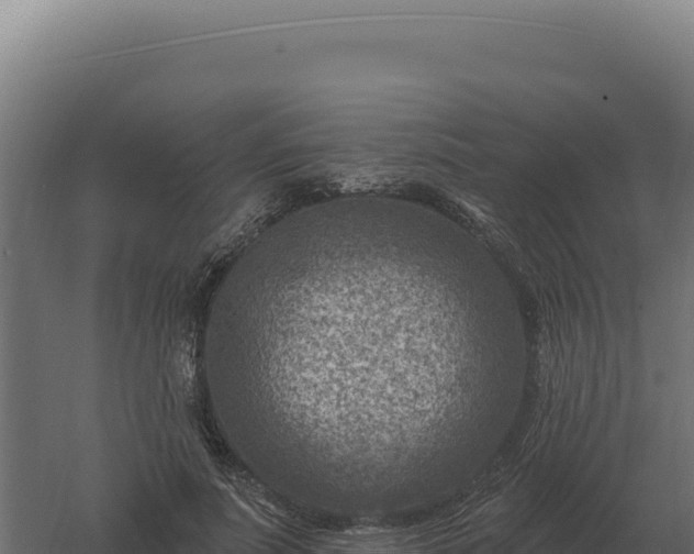 X0000061150691200511241831