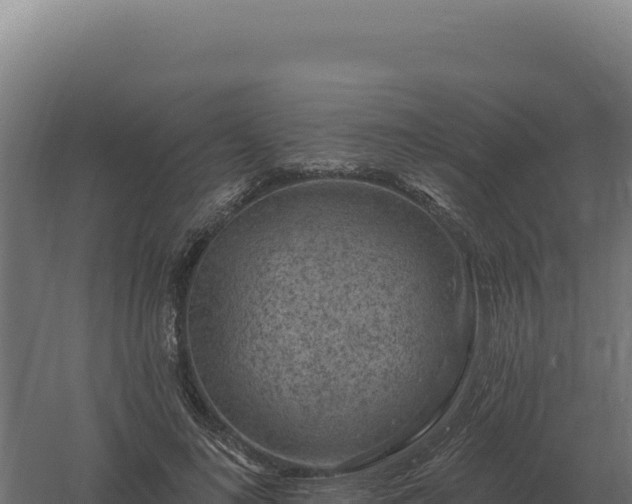 X0000061150692200511241831