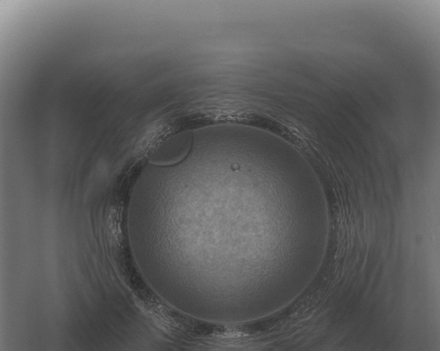 X0000061150695200511241831