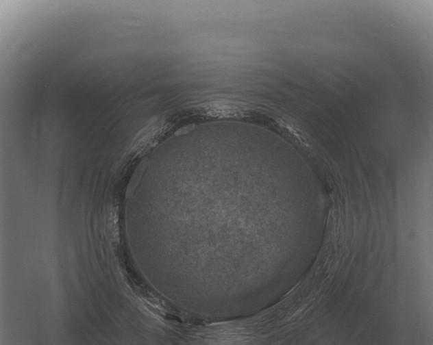 X0000061150696200511241831