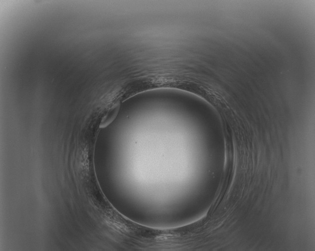 X0000061150700200511241831