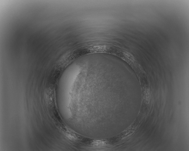 X0000061150701200511241831