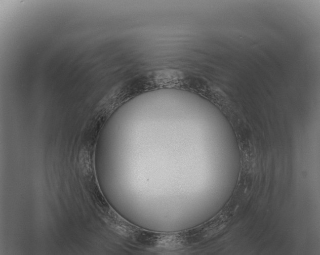 X0000061150705200511241831