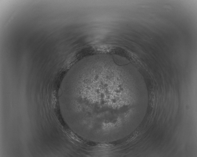 X0000061150707200511241831