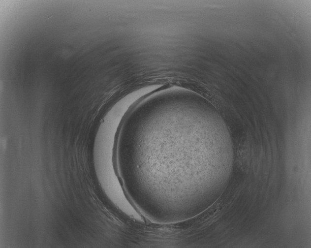 X0000061150708200511241831