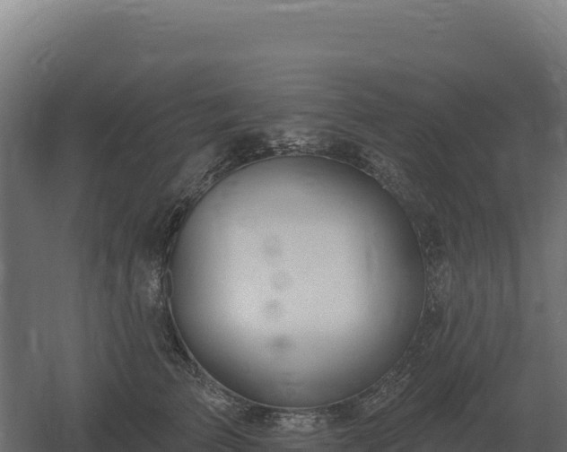 X0000061150709200511241831