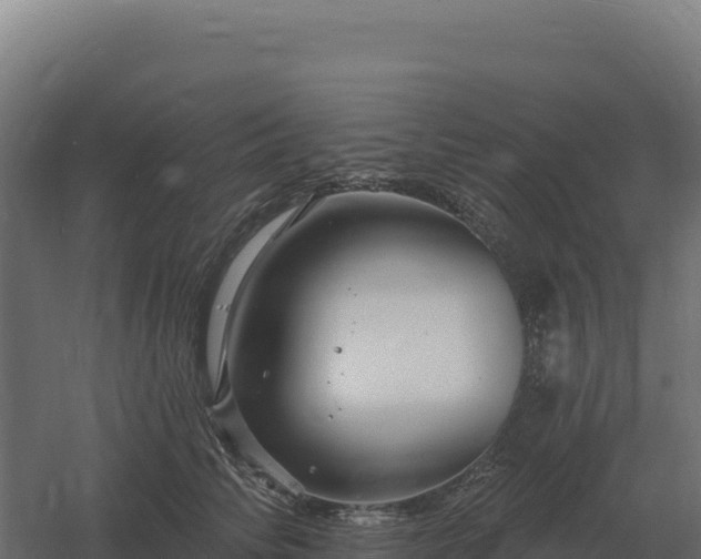 X0000061150710200511241831