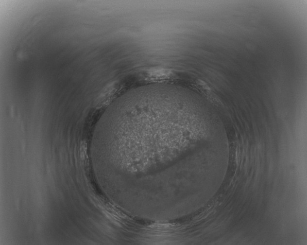 X0000061150711200511241831