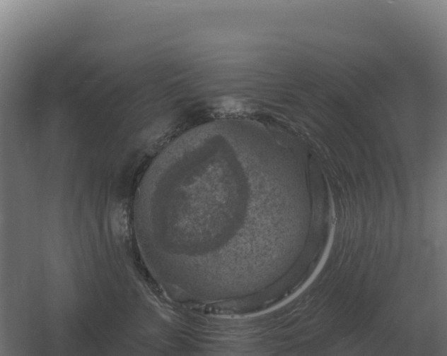 X0000061150715200511241831