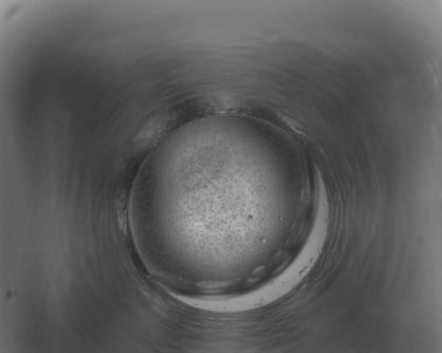 X0000061150719200511241831