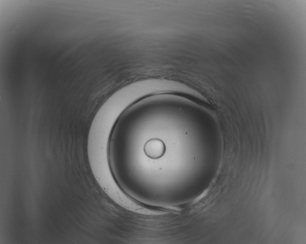 X0000061150720200511241831