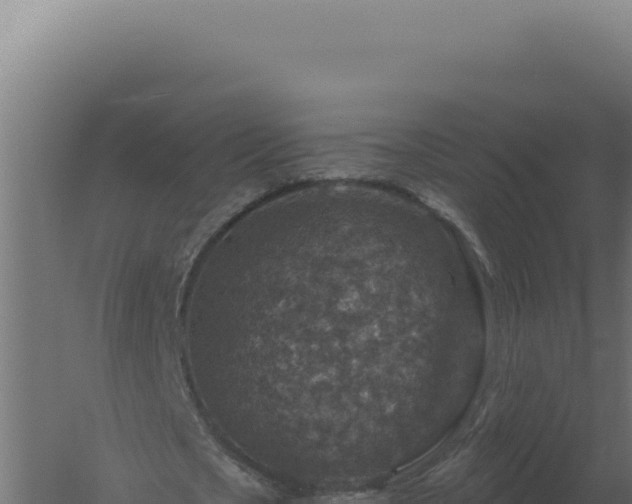 X0000061150721200511241830