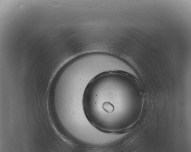 X0000061150728200511241830