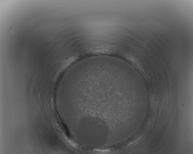 X0000061150729200511241830