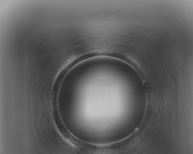 X0000061150730200511241830