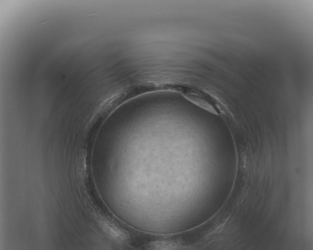 X0000061150733200511241830