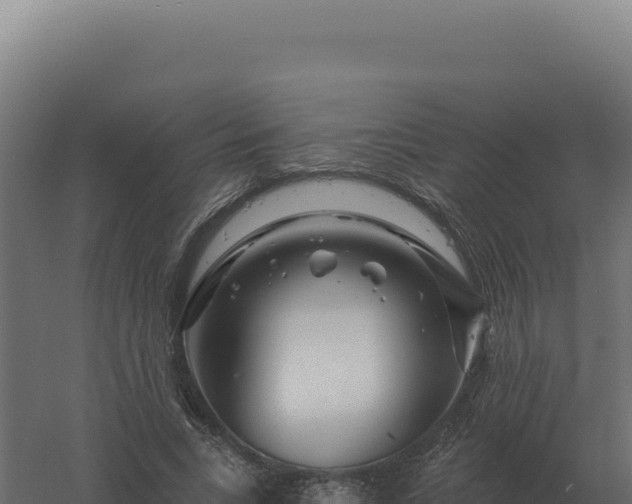 X0000061150735200511241830