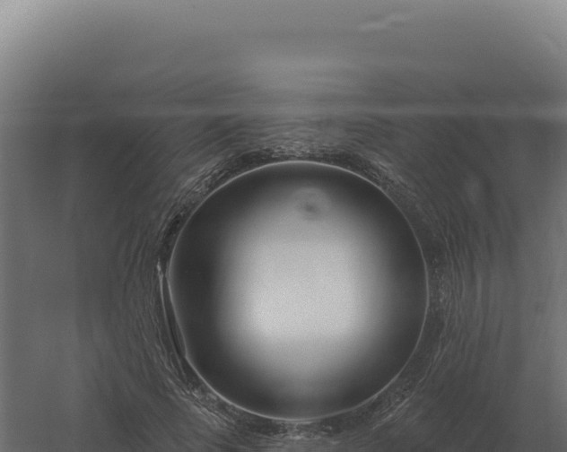 X0000061150737200511241830