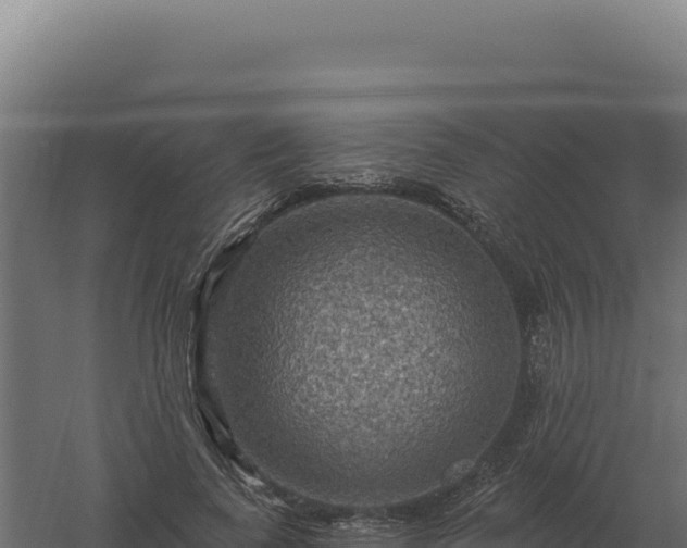 X0000061150739200511241830