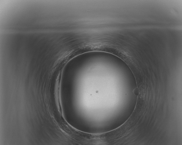 X0000061150740200511241830