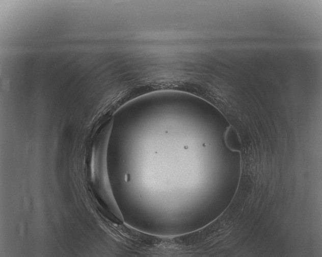 X0000061150742200511241830