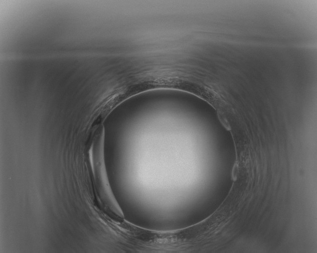 X0000061150744200511241830