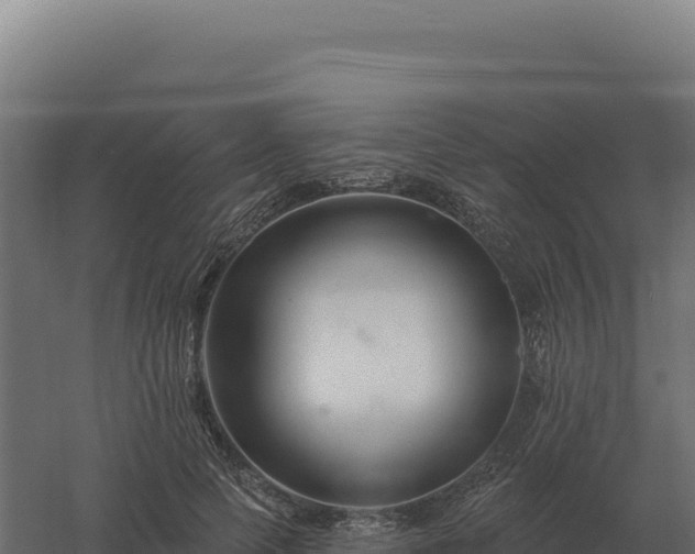 X0000061150745200511241830