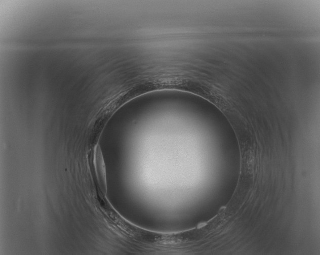 X0000061150746200511241830