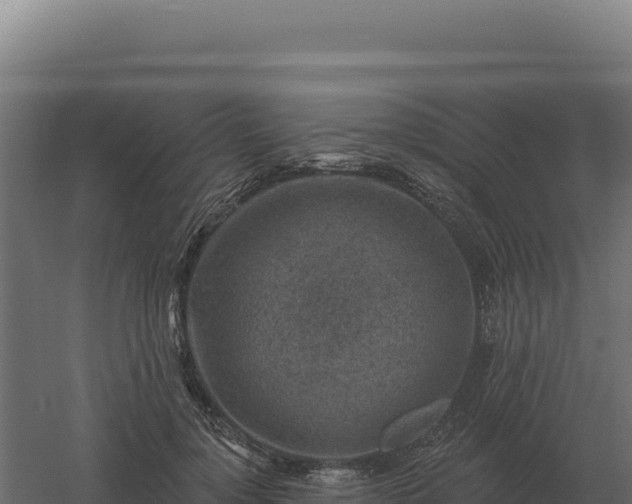 X0000061150748200511241830