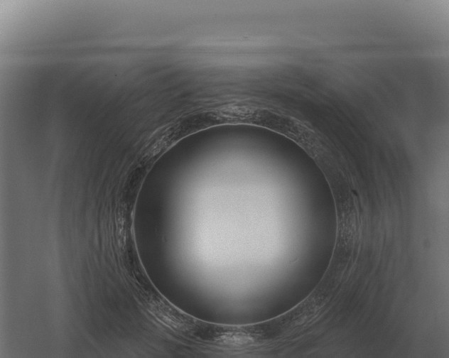 X0000061150749200511241830