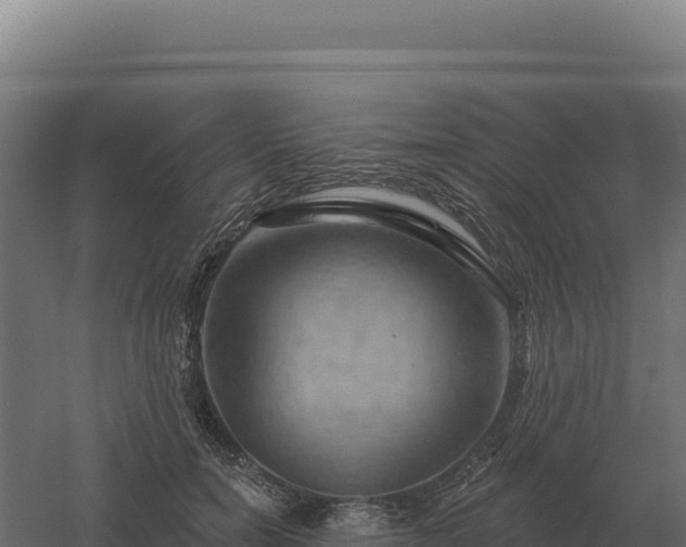 X0000061150750200511241830