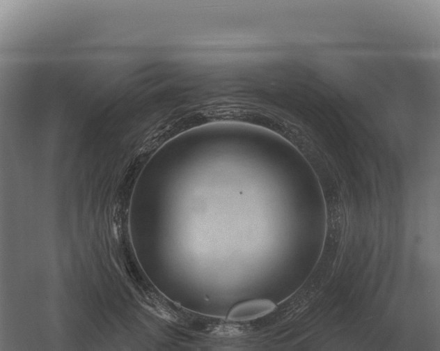 X0000061150751200511241830