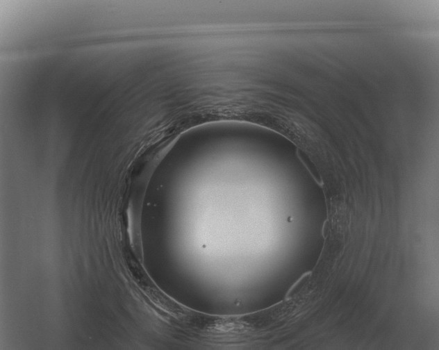 X0000061150752200511241830