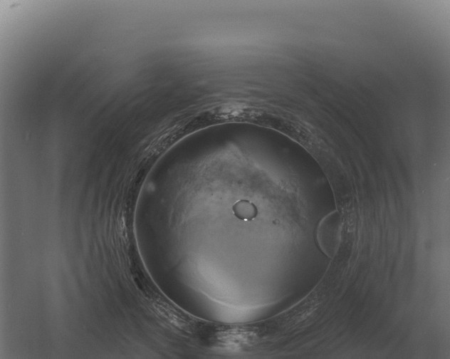 X0000061150754200511241830