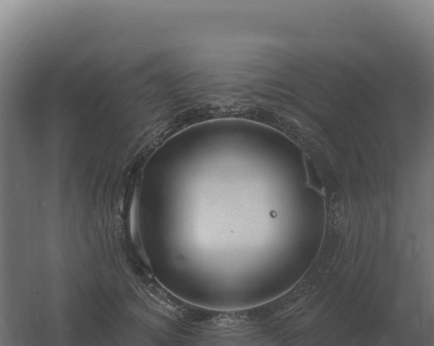 X0000061150756200511241831