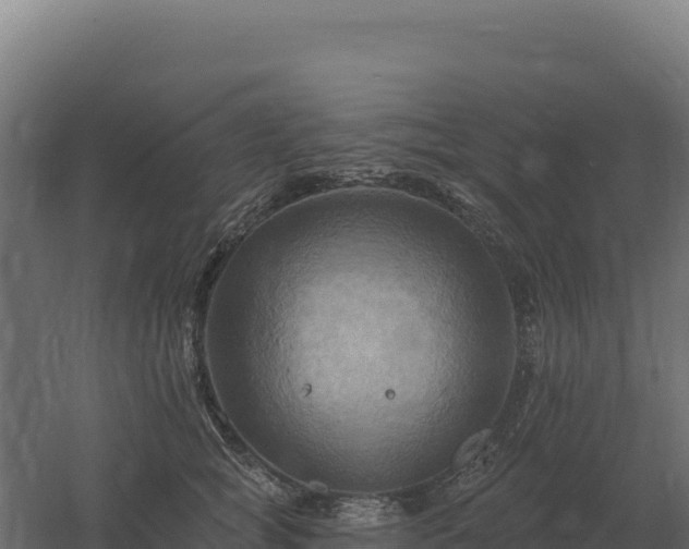 X0000061150757200511241831