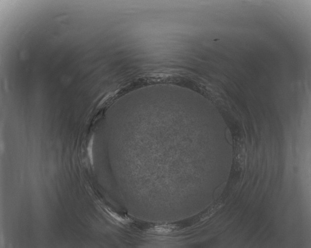 X0000061150758200511241831