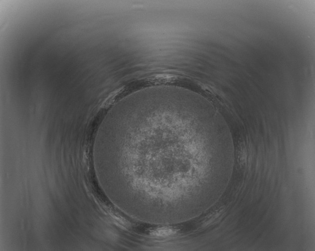 X0000061150759200511241831